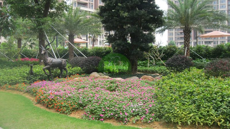 中小学绿化工程预算：标准解析与影响因素