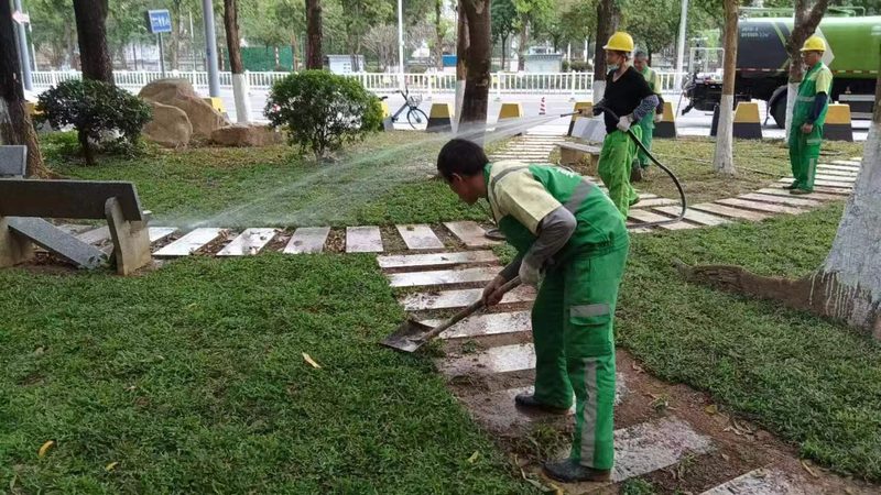 绿植租摆价格多少钱一盆