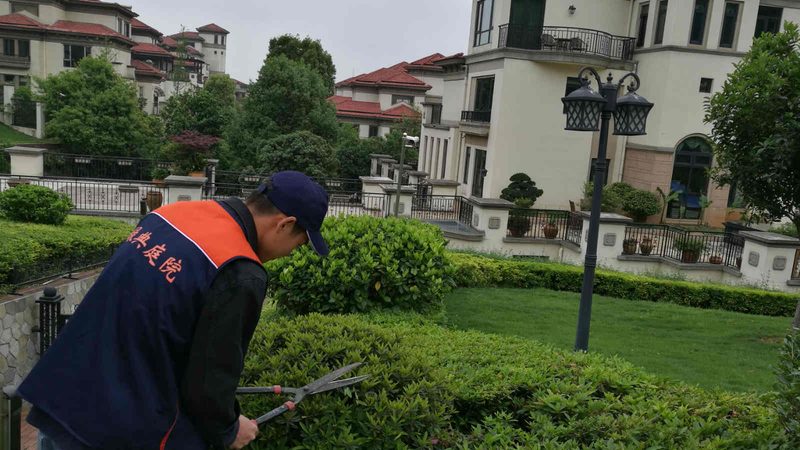 花卉租摆合同报价明细：揭秘合同背后的关键要素**
