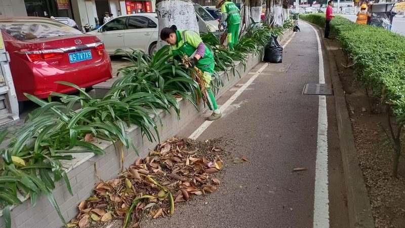 垂直绿化模块：规格尺寸背后的秘密