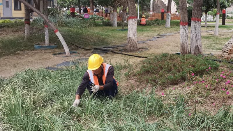 园林假山喷泉水泵：揭秘其核心参数与选型要点**