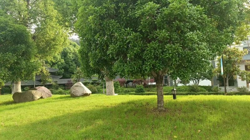 行业现状：市场鱼龙混杂，靠谱供应商难寻
