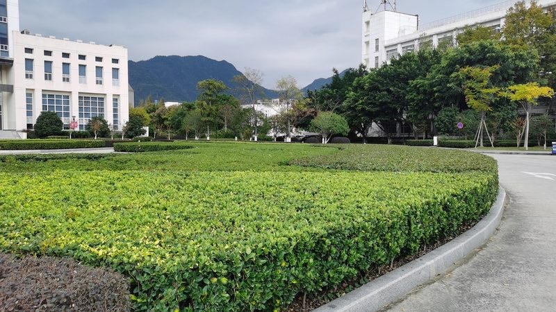 花园别墅设计装修全流程揭秘：从规划到验收