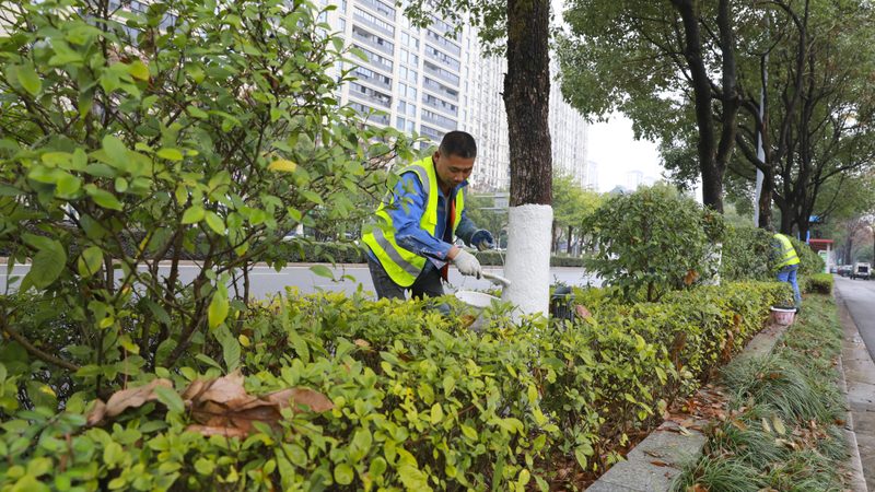 成都园林绿化养护管理：关键要素与专业实践
