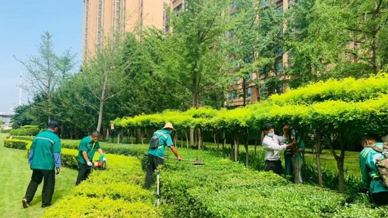 立体绿化墙打造全流程解析