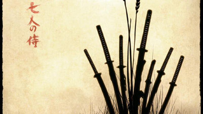 植物墙价格之谜：揭秘一平米成本构成